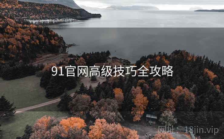 91官网高级技巧全攻略