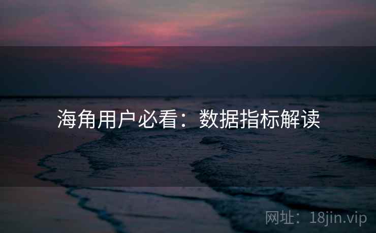 海角用户必看:数据指标解读