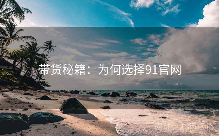 带货秘籍:为何选择91官网